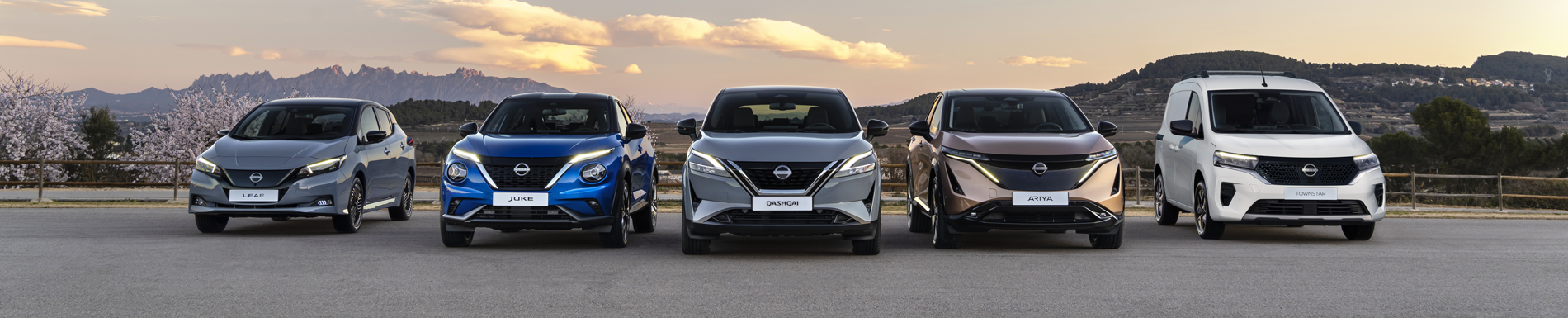 Gamma Nissan in vendita da Tecnostile a Rovigo