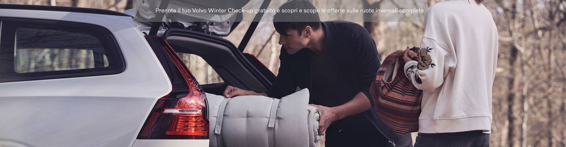 Volvo Winter Check-up