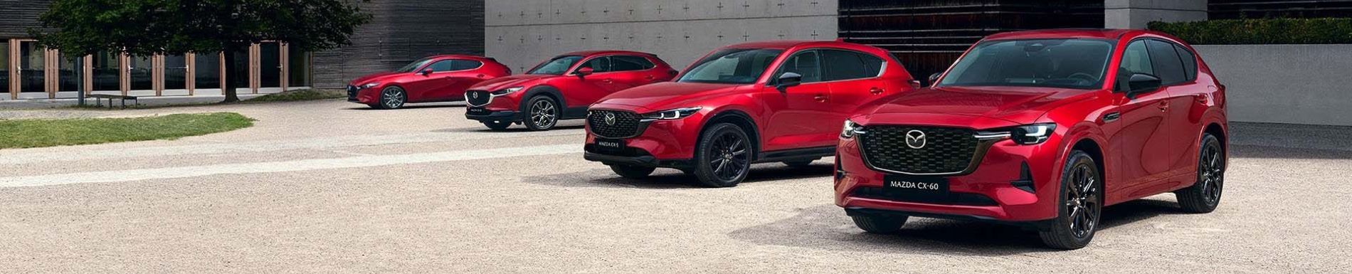 Gamma Mazda in vendita da Tecnostile a Rovigo